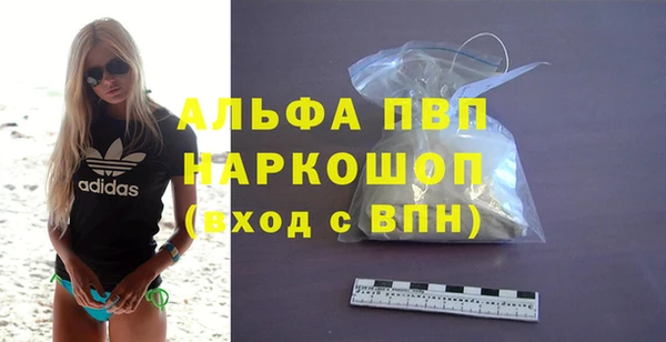 стаф Козловка