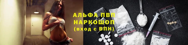 стаф Козловка