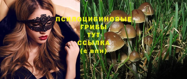стаф Козловка