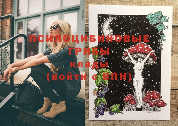 хмурый Кулебаки